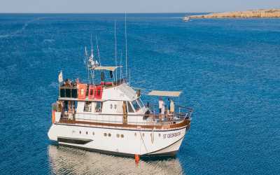 Dream of Turtles ST Georgios II rejs poranny z Protaras - marzenie zobaczyć żółwie dla rodzin